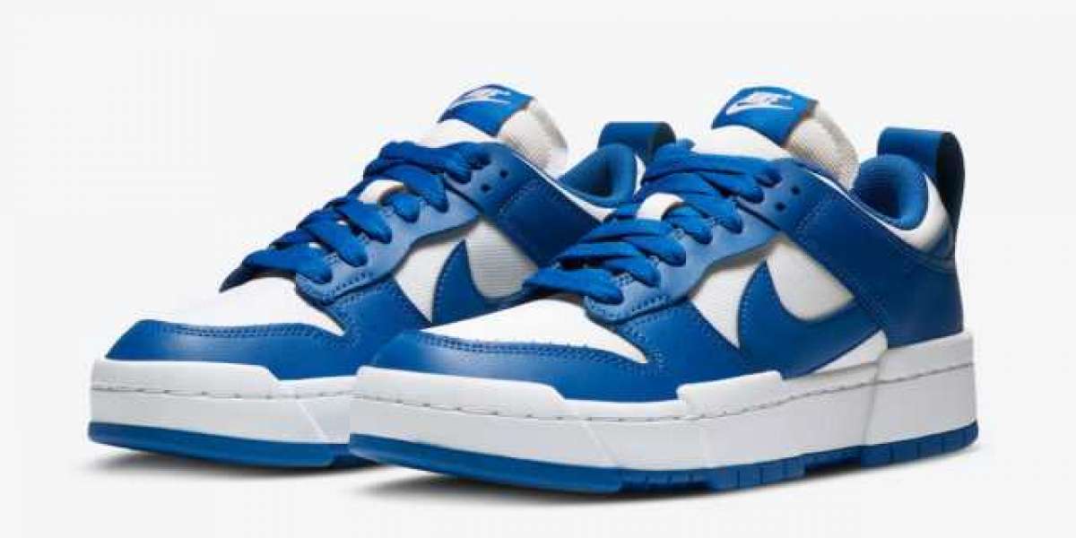 Do you like the Nike Dunk Low Disrupt