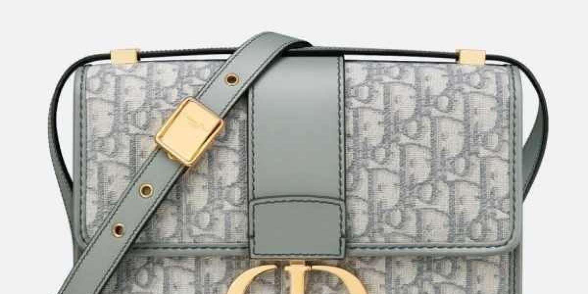 dior bag the Bobby Bag