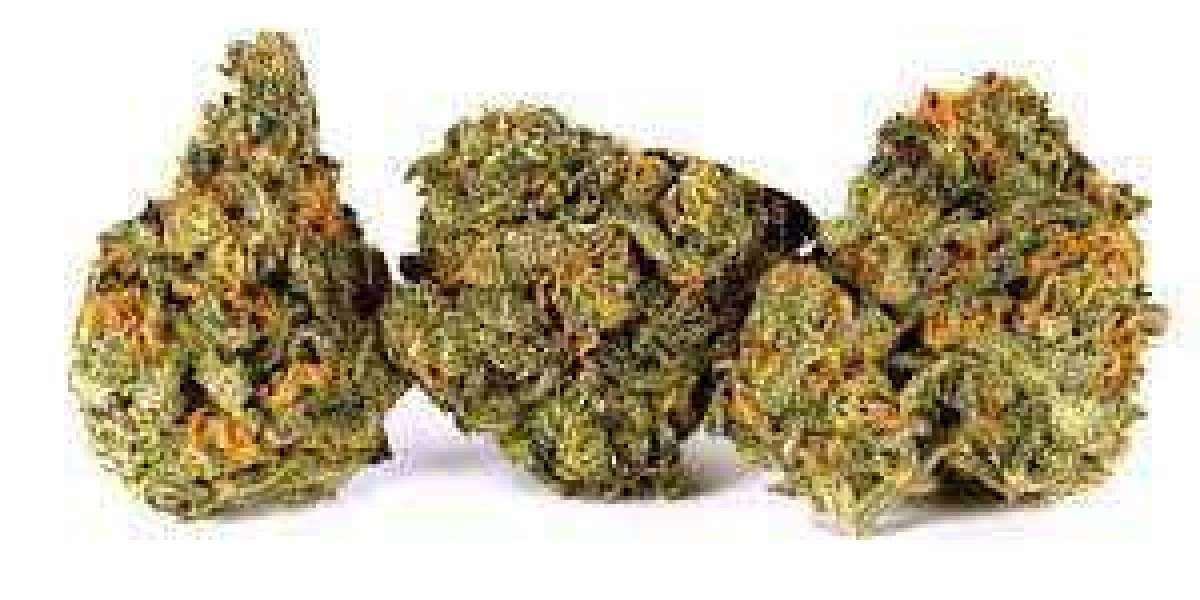 buy berry pie strain online