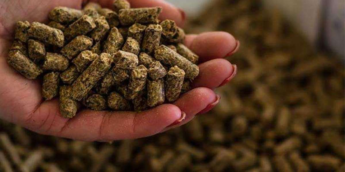 Animal Feed Antioxidants Market Report 2022 Business Scenario, Growth and Opportunities and Forecast by 2028