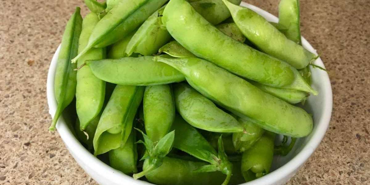 Pea Starch Market Analysis, Revenue Share, Company Profiles, Launches, & Forecast Till 2027