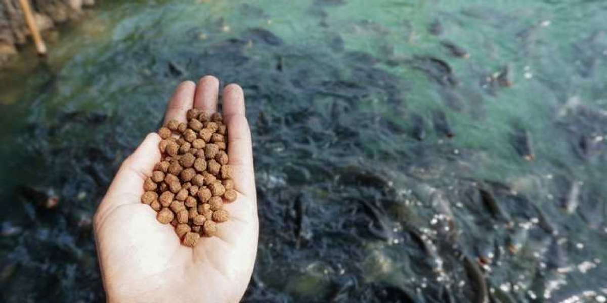 Aquafeed Market Status, Leading Key Players, Growth Opportunities and Future Forecasts 2021-2026