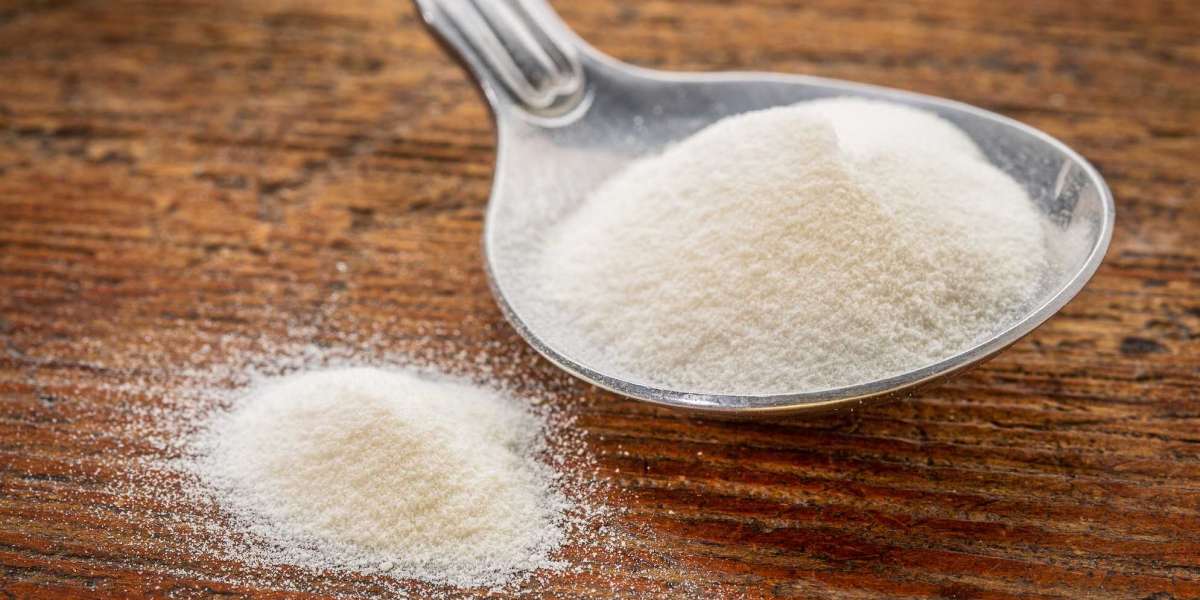 Collagen Hydrolysates Market Overview, Key Market Trends, COVID-19’s Impact, Demand Analysis by 2027