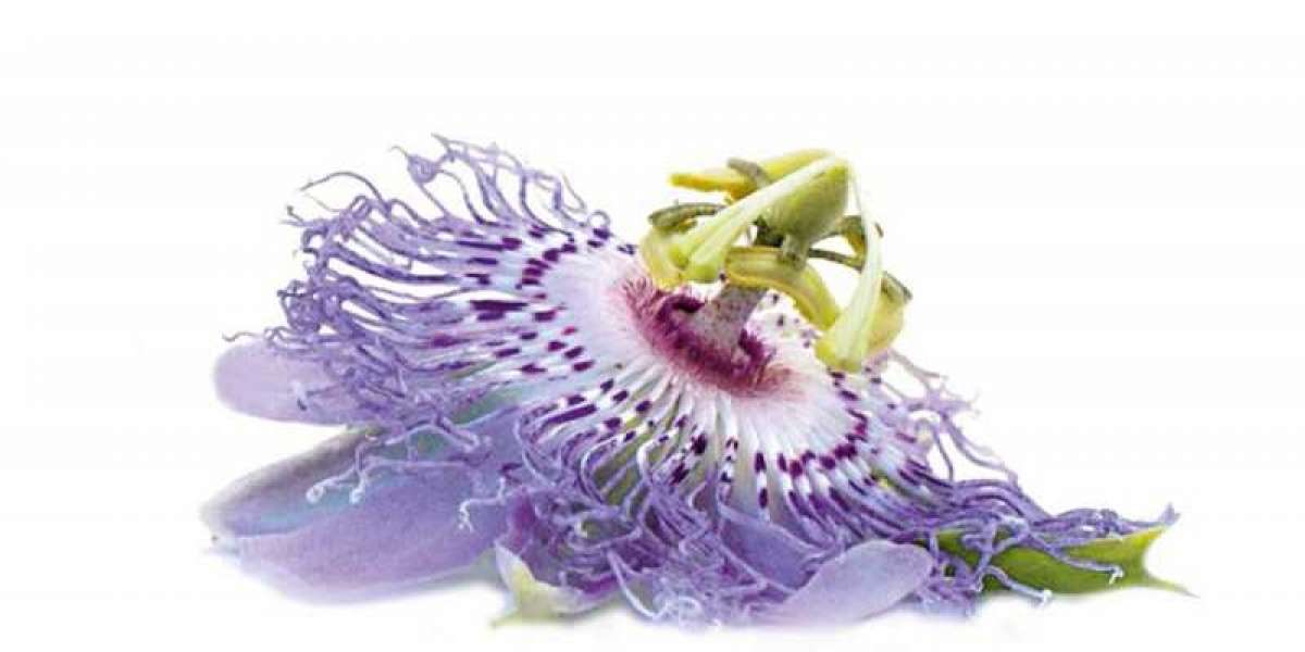 Passion Flower Extracts Market Size, Opportunities, Growth Factors, Revenue Analysis, 2022–2027