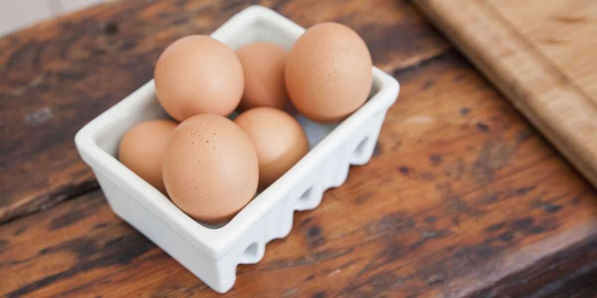 Eggshell Membrane Market Growth, Global Survey, Analysis, Share, Company Profiles and Forecast by 2027