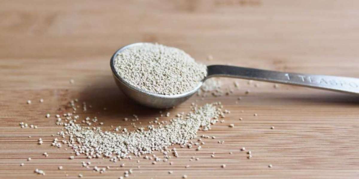 Feed Yeast Market Size, Industry & Landscape Outlook, Revenue Growth Analysis to 2028