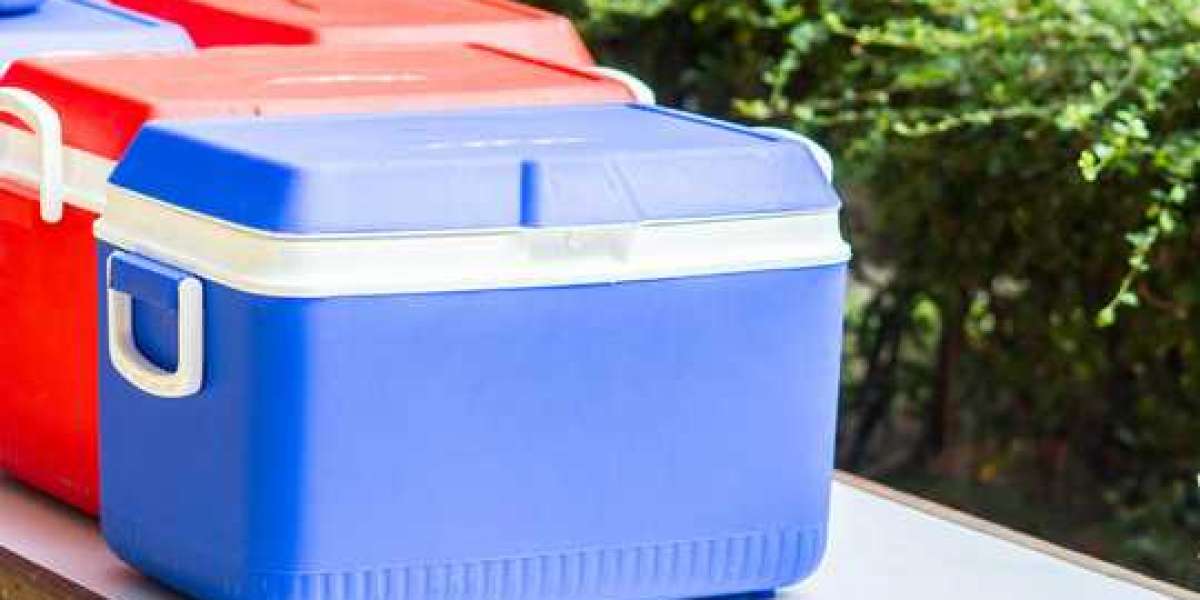 Ice Chests and Coolers Market Size, Growth Opportunities, Revenue Share Analysis, and Forecast To 2026