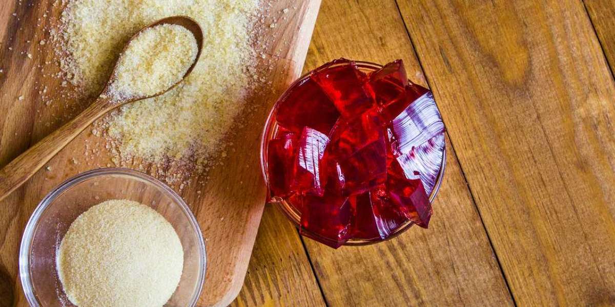 Gelatin Market Overview, Consumption, Supply, Demand & Insights by 2028