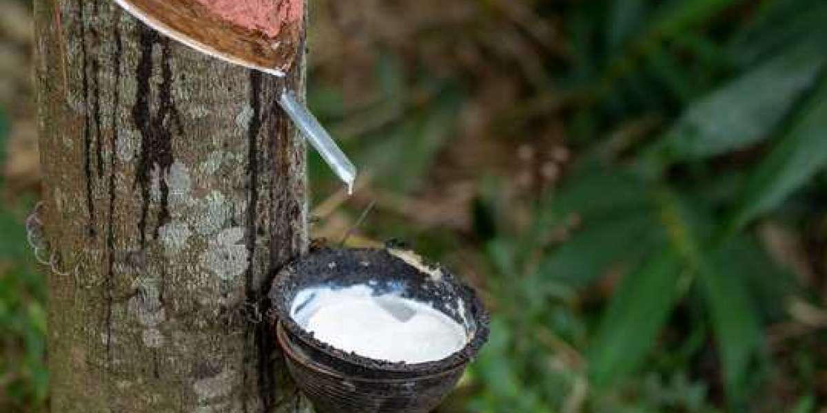 Natural Rubber Market Size, Industry & Landscape Outlook, Revenue Growth Analysis to 2028