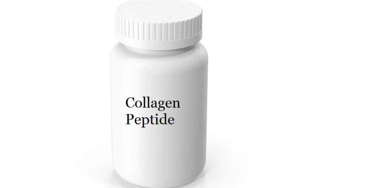 Collagen Peptide Market Size, Region & Country Revenue Analysis & Forecast Till 2028