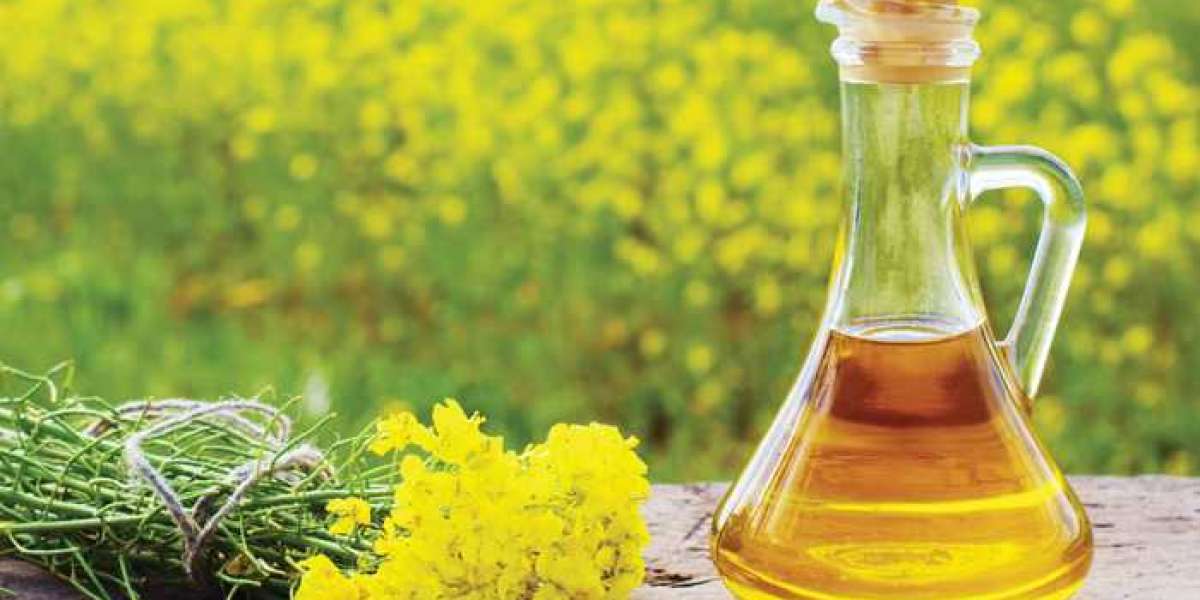Canola Protein Market Growth Analysis and Forecast to 2027 