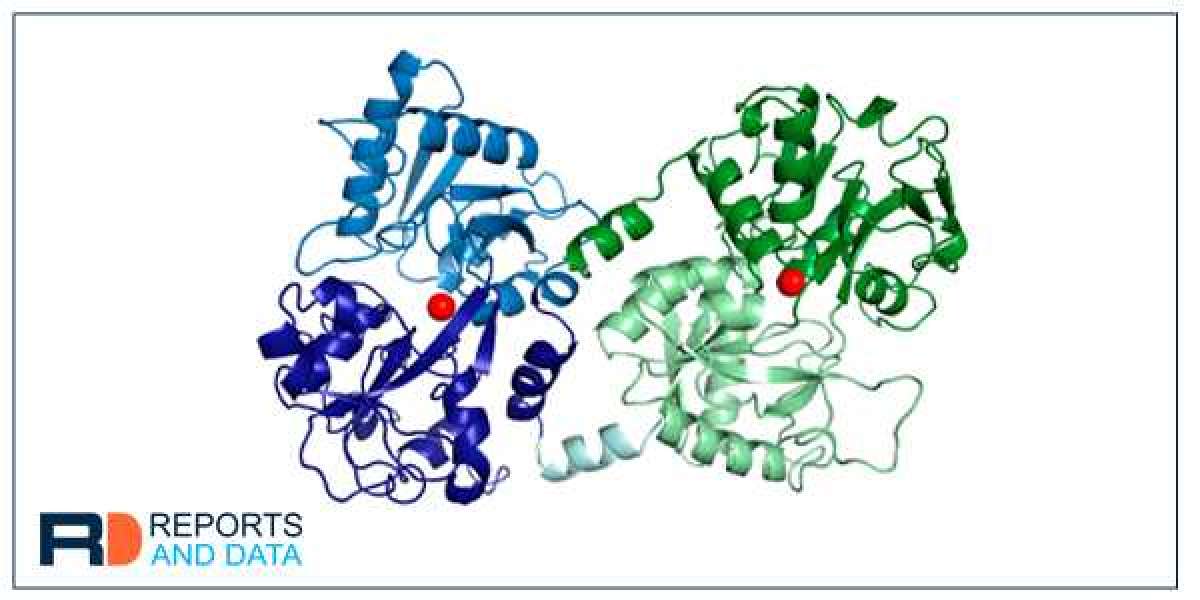 Lactotransferrin (LTF) Market Analysis, Size, Share, Growth, Trends And Forecast, 2028