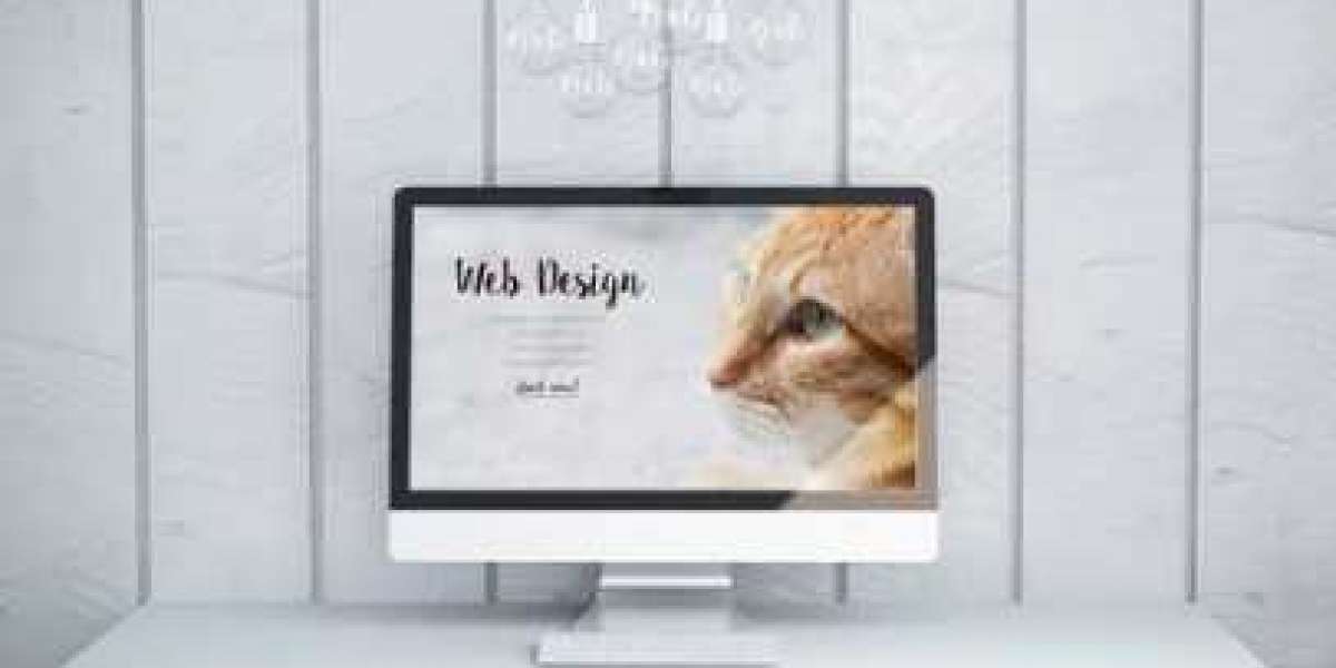 Why Should You Have a Professional Website Design?