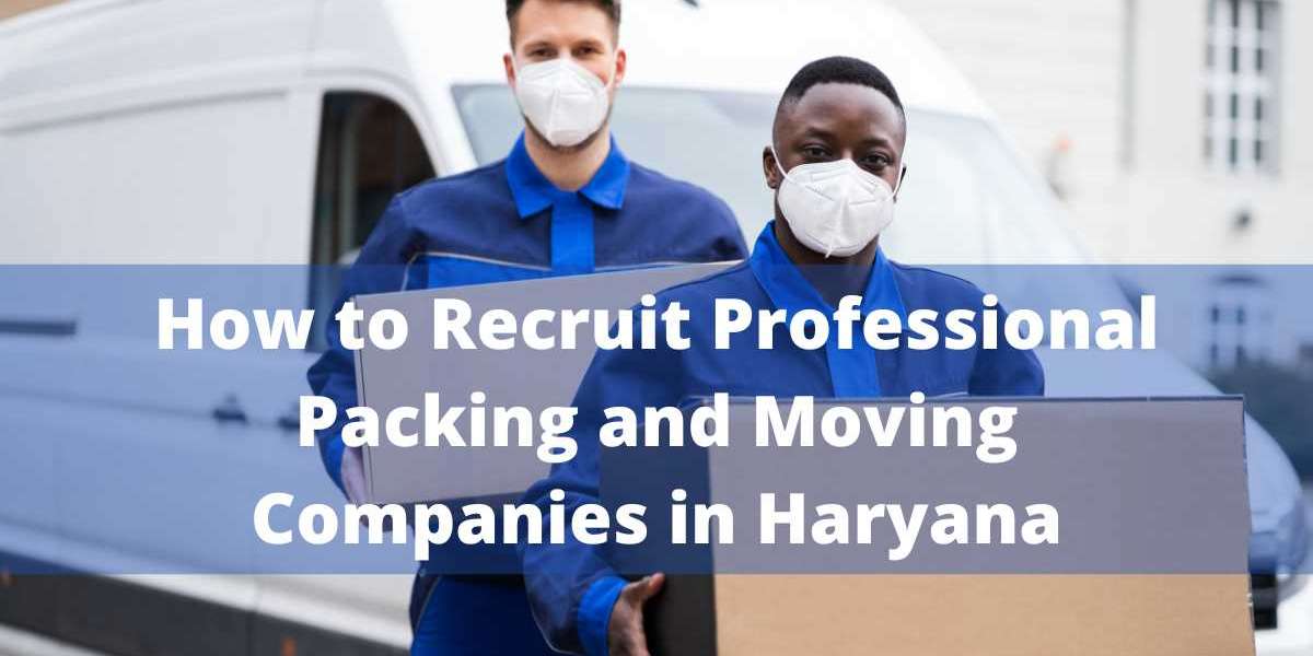 How to Recruit Professional Packing and Moving Companies in Haryana