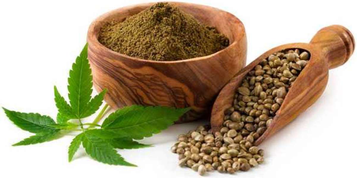 Apply Hemp Protein Powder Benefits Order To Gather All Vital Details