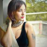 Mount Abu Escorts