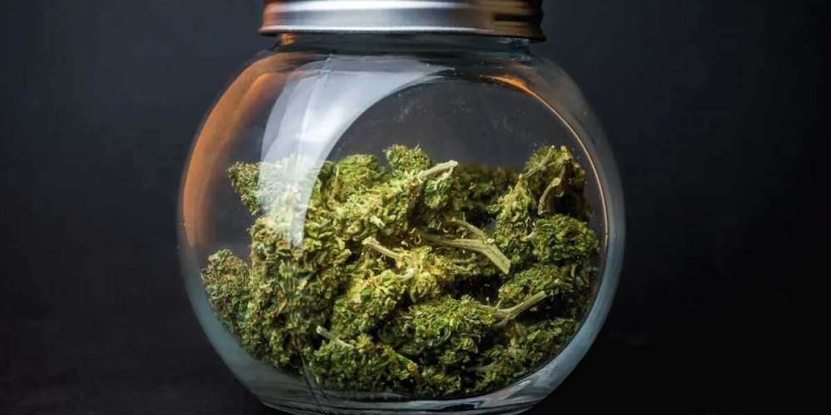 About Best Cannabis Storage Containers May Shock You