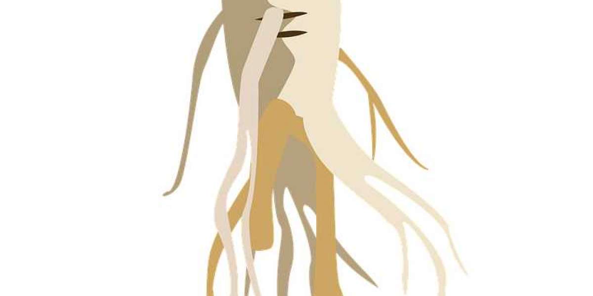 Ginseng Benefits for Erectile Dysfunction