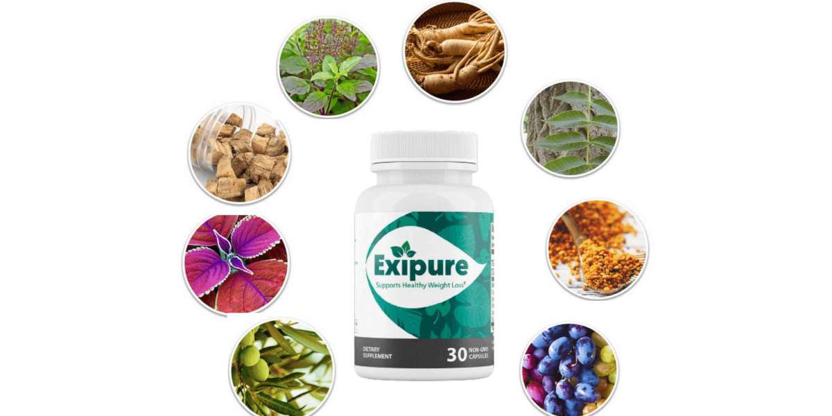 Exipure Reviews: Miracle Weight Loss Results or Just Hype?
