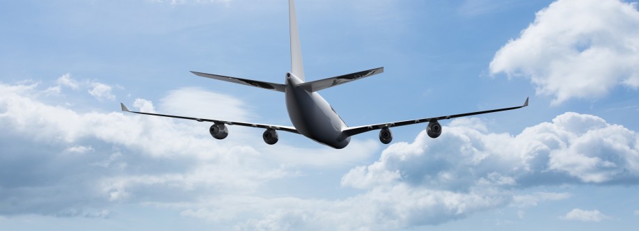 aerofly ticket